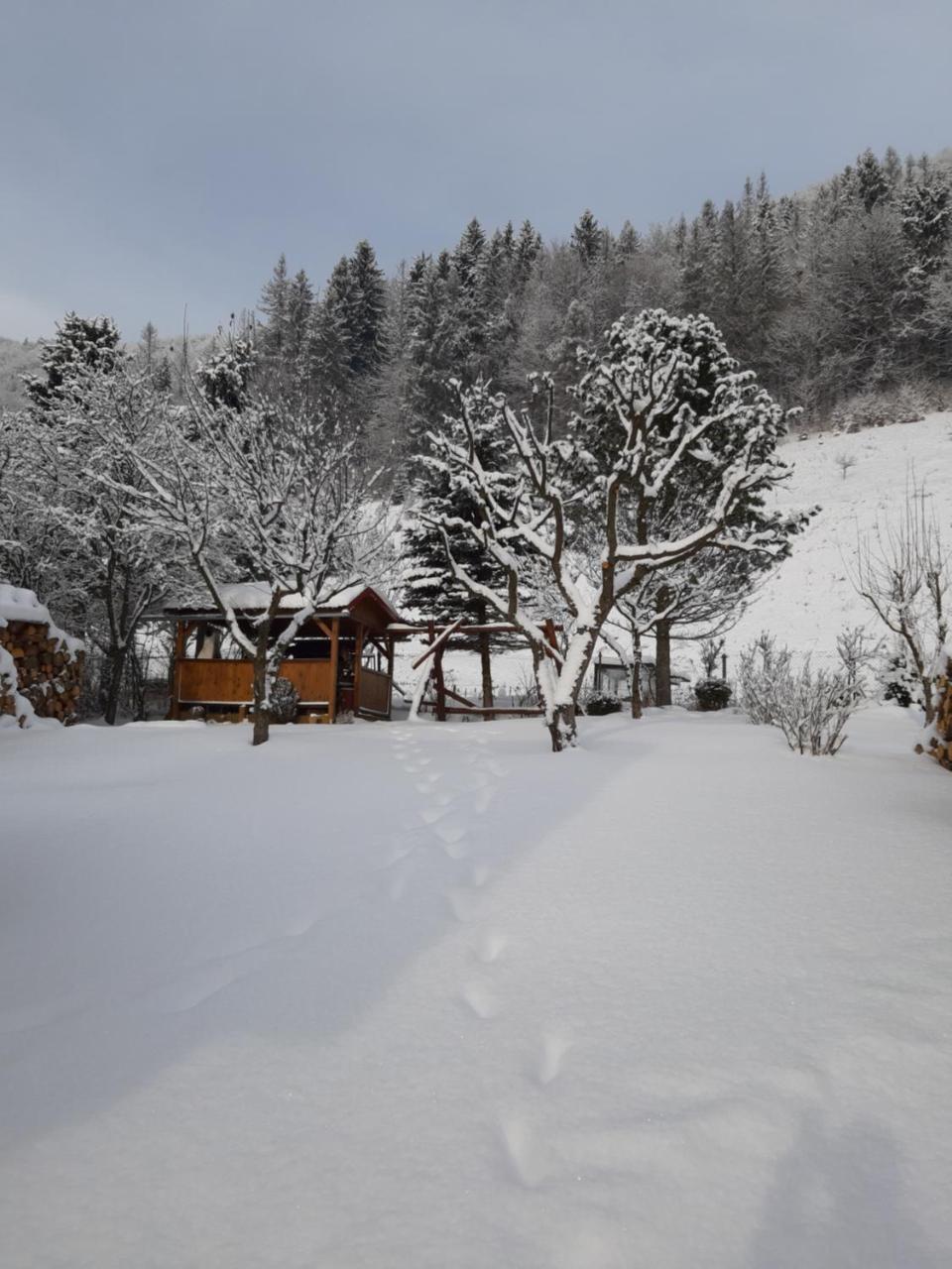 Rekreacny Domcek Judka Villa Dedinky Luaran gambar